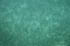 Filename=201802131407-00741-Marnie.jpg
Filesize=177KiB
Dimensions=1280x847
Date added=Mar 30, 2021 201802131407-00741-Marnie.jpg