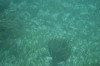 Filename=201802131407-00745-Marnie.jpg
Filesize=192KiB
Dimensions=1280x847
Date added=Mar 30, 2021 201802131407-00745-Marnie.jpg