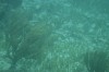 Filename=201802131407-00746-Marnie.jpg
Filesize=188KiB
Dimensions=1280x847
Date added=Mar 30, 2021 201802131407-00746-Marnie.jpg