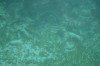 Filename=201802131407-00748-Marnie.jpg
Filesize=166KiB
Dimensions=1280x847
Date added=Mar 30, 2021 201802131407-00748-Marnie.jpg