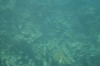 Filename=201802131408-00751-Marnie.jpg
Filesize=121KiB
Dimensions=1280x847
Date added=Mar 30, 2021 201802131408-00751-Marnie.jpg