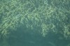 Filename=201802131408-00754-Marnie.jpg
Filesize=207KiB
Dimensions=1280x847
Date added=Mar 30, 2021 201802131408-00754-Marnie.jpg