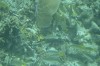 Filename=201802131408-00757-Marnie.jpg
Filesize=222KiB
Dimensions=1280x847
Date added=Mar 30, 2021 201802131408-00757-Marnie.jpg