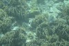 Filename=201802131408-00759-Marnie.jpg
Filesize=246KiB
Dimensions=1280x847
Date added=Mar 30, 2021 201802131408-00759-Marnie.jpg