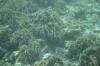 Filename=201802131408-00760-Marnie.jpg
Filesize=253KiB
Dimensions=1280x847
Date added=Mar 30, 2021 201802131408-00760-Marnie.jpg