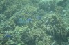 Filename=201802131408-00761-Marnie.jpg
Filesize=274KiB
Dimensions=1280x847
Date added=Mar 30, 2021 201802131408-00761-Marnie.jpg