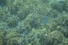 Filename=201802131408-00763-Marnie.jpg
Filesize=283KiB
Dimensions=1280x847
Date added=Mar 30, 2021 201802131408-00763-Marnie.jpg