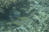 Filename=201802131408-00764-Marnie.jpg
Filesize=240KiB
Dimensions=1280x847
Date added=Mar 30, 2021 201802131408-00764-Marnie.jpg