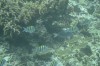 Filename=201802131408-00765-Marnie.jpg
Filesize=235KiB
Dimensions=1280x847
Date added=Mar 30, 2021 201802131408-00765-Marnie.jpg