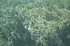 Filename=201802131408-00766-Marnie.jpg
Filesize=248KiB
Dimensions=1280x847
Date added=Mar 30, 2021 201802131408-00766-Marnie.jpg