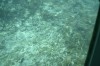 Filename=201802131408-00768-Marnie.jpg
Filesize=260KiB
Dimensions=1280x847
Date added=Mar 30, 2021 201802131408-00768-Marnie.jpg