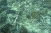 Filename=201802131408-00769-Marnie.jpg
Filesize=295KiB
Dimensions=1280x847
Date added=Mar 30, 2021 201802131408-00769-Marnie.jpg
