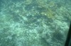 Filename=201802131408-00770-Marnie.jpg
Filesize=260KiB
Dimensions=1280x847
Date added=Mar 30, 2021 201802131408-00770-Marnie.jpg
