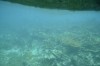 Filename=201802131408-00772-Marnie.jpg
Filesize=138KiB
Dimensions=1280x847
Date added=Mar 30, 2021 201802131408-00772-Marnie.jpg