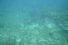 Filename=201802131408-00773-Marnie.jpg
Filesize=168KiB
Dimensions=1280x847
Date added=Mar 30, 2021 201802131408-00773-Marnie.jpg