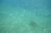 Filename=201802131409-00777-Marnie.jpg
Filesize=174KiB
Dimensions=1280x847
Date added=Mar 30, 2021 201802131409-00777-Marnie.jpg