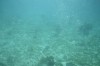Filename=201802131409-00782-Marnie.jpg
Filesize=160KiB
Dimensions=1280x847
Date added=Mar 30, 2021 201802131409-00782-Marnie.jpg