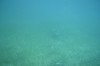 Filename=201802131412-00786-Marnie.jpg
Filesize=115KiB
Dimensions=1280x847
Date added=Mar 30, 2021 201802131412-00786-Marnie.jpg