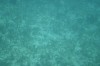Filename=201802131413-00788-Marnie.jpg
Filesize=159KiB
Dimensions=1280x847
Date added=Mar 30, 2021 201802131413-00788-Marnie.jpg