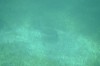 Filename=201802131414-00790-Marnie.jpg
Filesize=150KiB
Dimensions=1280x847
Date added=Mar 30, 2021 201802131414-00790-Marnie.jpg