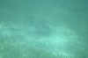 Filename=201802131414-00791-Marnie.jpg
Filesize=150KiB
Dimensions=1280x847
Date added=Mar 30, 2021 201802131414-00791-Marnie.jpg