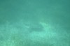 Filename=201802131414-00793-Marnie.jpg
Filesize=146KiB
Dimensions=1280x847
Date added=Mar 30, 2021 201802131414-00793-Marnie.jpg