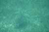 Filename=201802131415-00803-Marnie.jpg
Filesize=188KiB
Dimensions=1280x847
Date added=Mar 30, 2021 201802131415-00803-Marnie.jpg