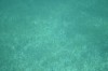 Filename=201802131416-00806-Marnie.jpg
Filesize=180KiB
Dimensions=1280x847
Date added=Mar 30, 2021 201802131416-00806-Marnie.jpg