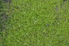 Filename=201802131606-00837-Marnie.jpg
Filesize=522KiB
Dimensions=1280x847
Date added=Mar 30, 2021 201802131606-00837-Marnie.jpg