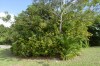 Filename=201802131609-00848-Marnie.jpg
Filesize=533KiB
Dimensions=1280x847
Date added=Mar 30, 2021 201802131609-00848-Marnie.jpg