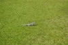 Filename=201802131623-00041-Marnie.jpg
Filesize=492KiB
Dimensions=1280x847
Date added=Mar 30, 2021 201802131623-00041-Marnie.jpg