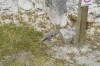 Filename=201802131624-00044-Marnie.jpg
Filesize=488KiB
Dimensions=1280x847
Date added=Mar 30, 2021 201802131624-00044-Marnie.jpg