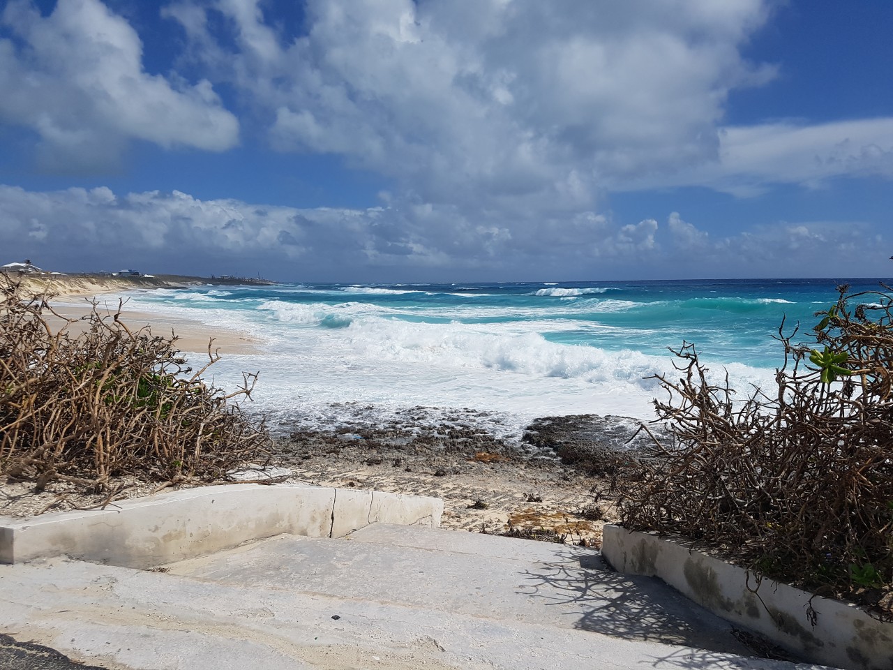 20191001_113317.jpg