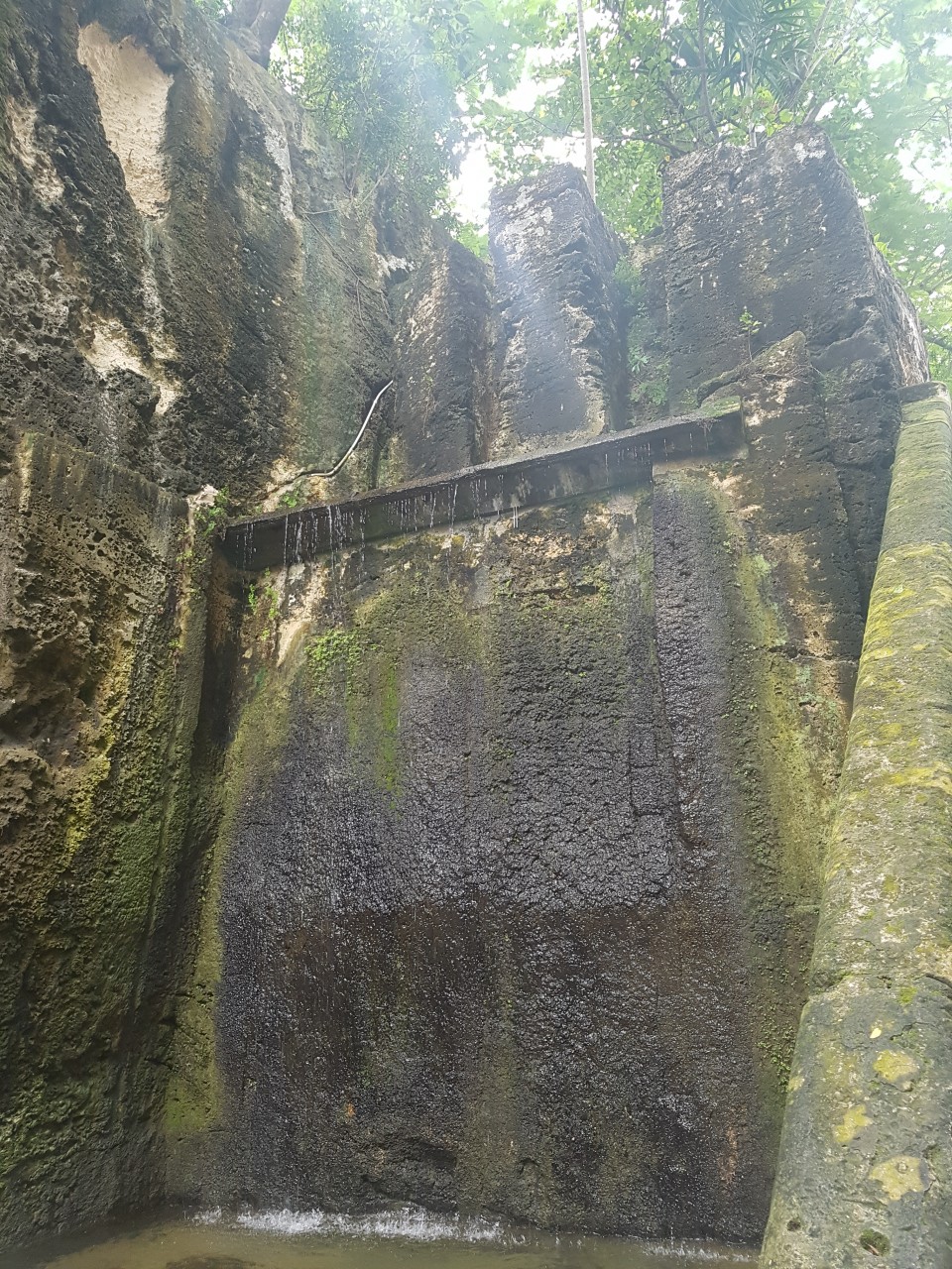 20190923_111240.jpg