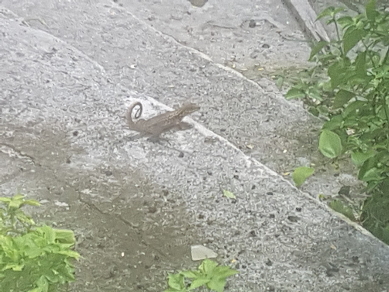 20190923_130315.jpg