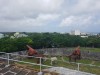 20190923_110519.jpg