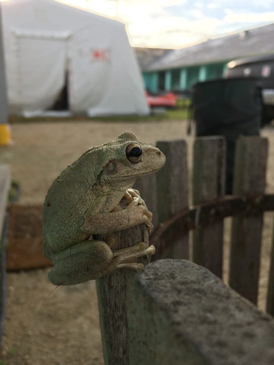 IMG-20191011-WA0004.jpg