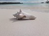 Filename=20191127_202110.jpg
Filesize=191KiB
Dimensions=1280x960
Date added=Mar 30, 2021 20191127_202110.jpg