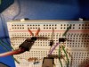 20200801_230804.jpg