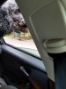 20200808_162522.jpg