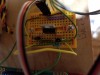 20200816_143954.jpg