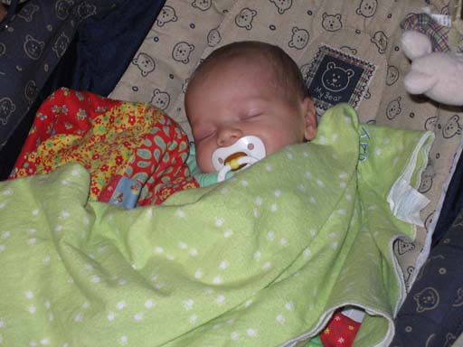 IMG_0081-L.jpg