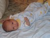 IMG_0051-L.jpg