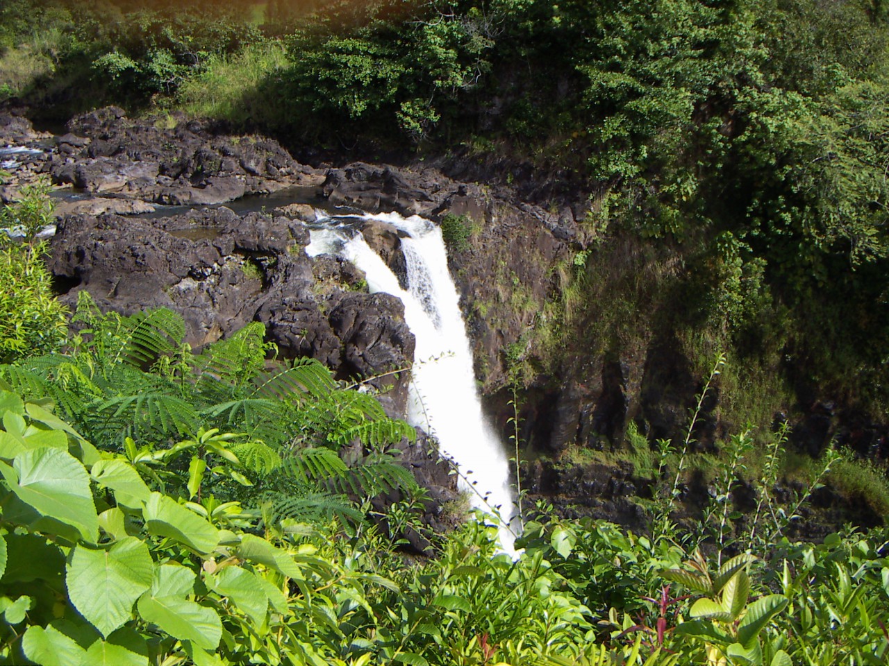 PICT0005.JPG