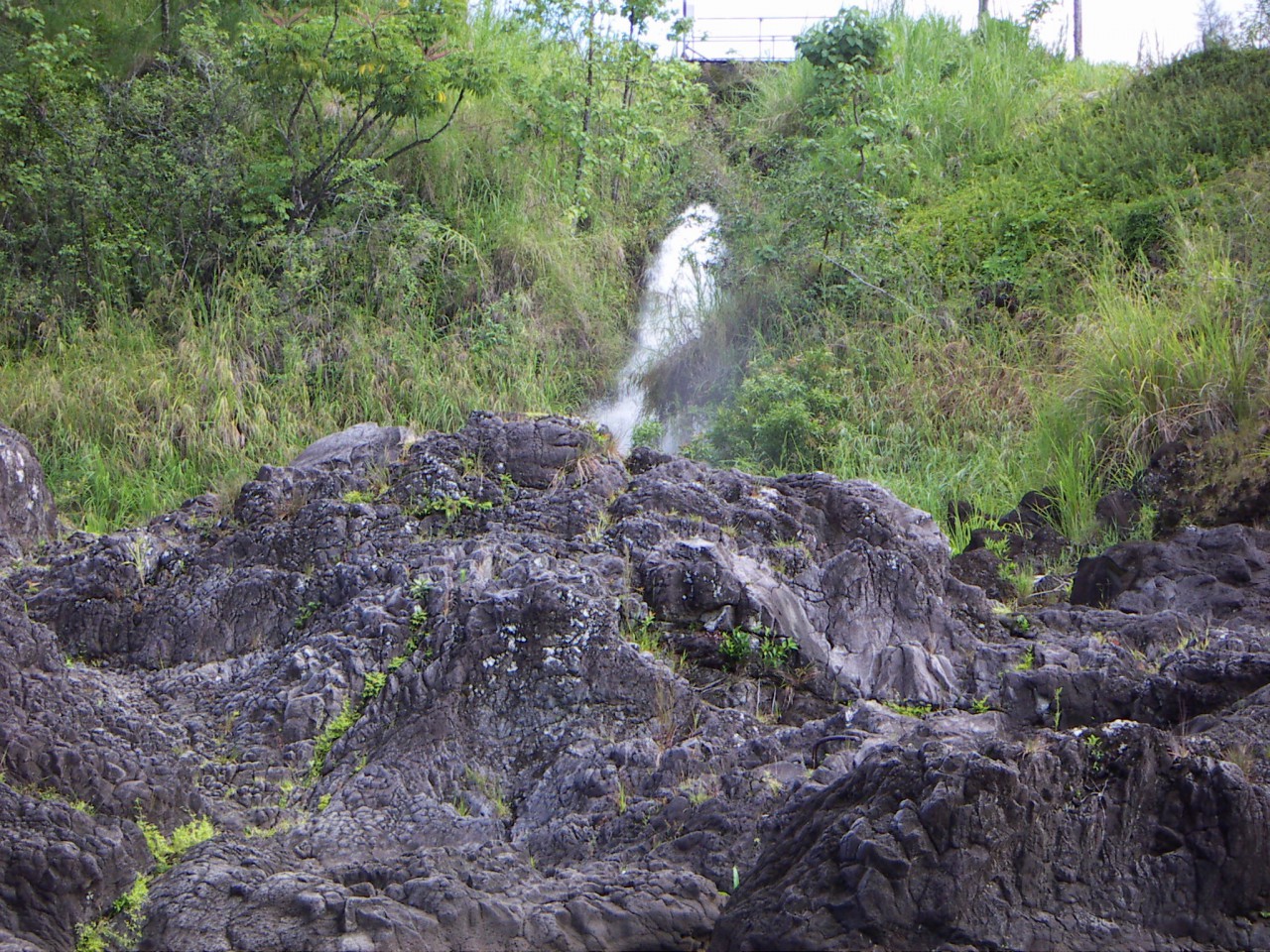 PICT0010.JPG