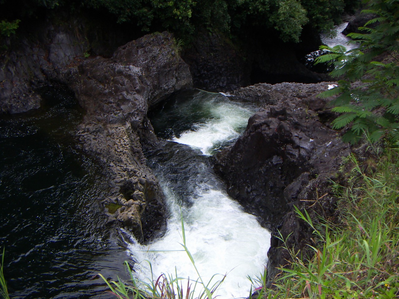 PICT0011.JPG