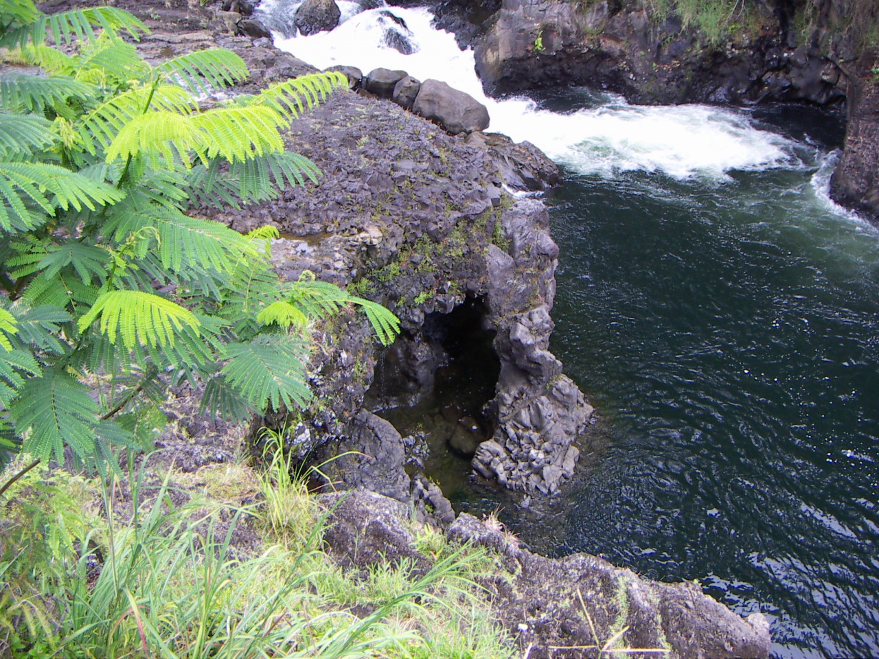 PICT0012.JPG