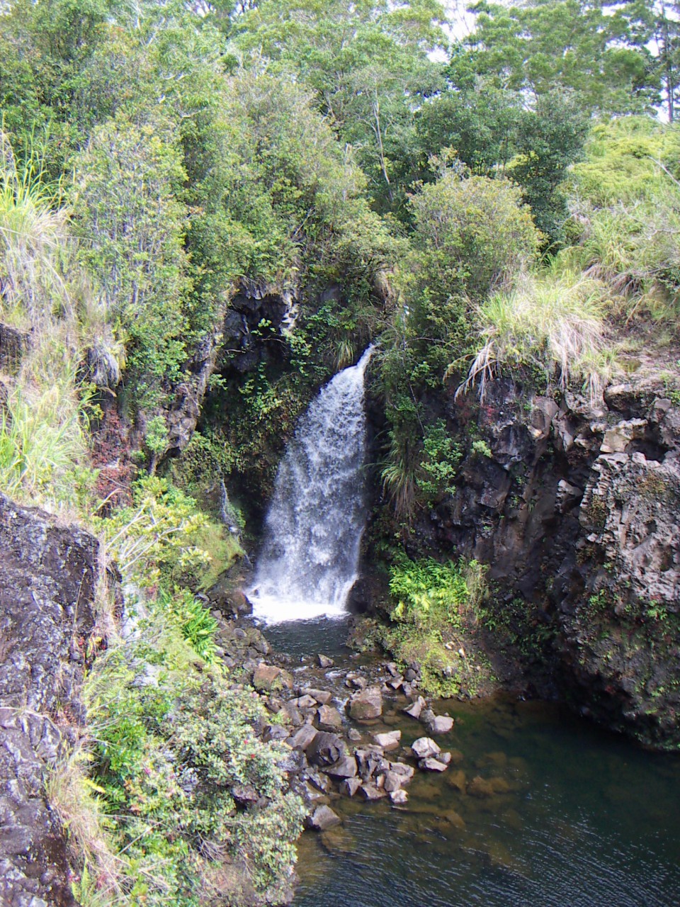 PICT0017.JPG