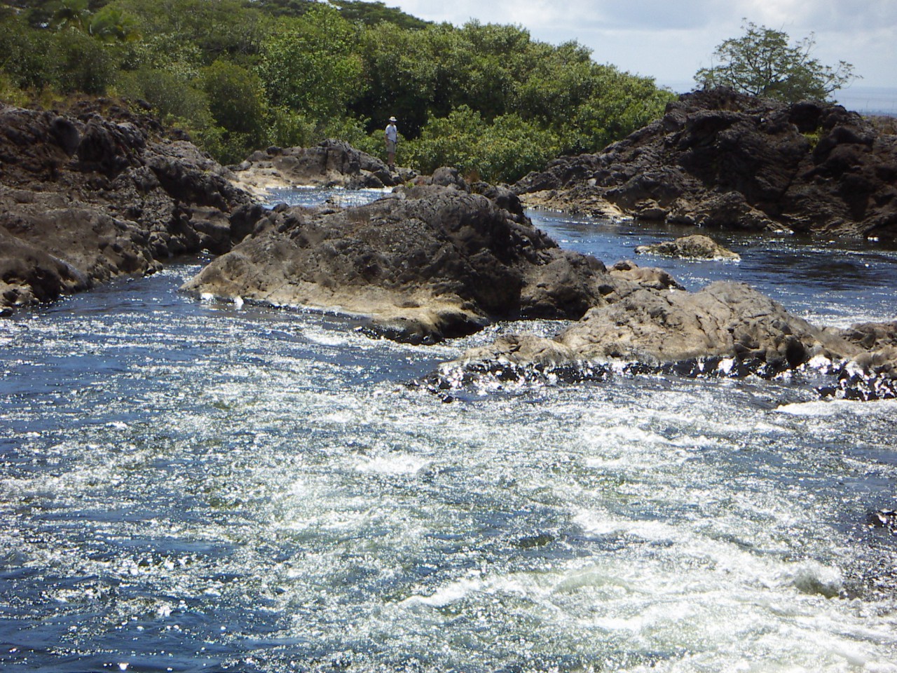 PICT0021.JPG