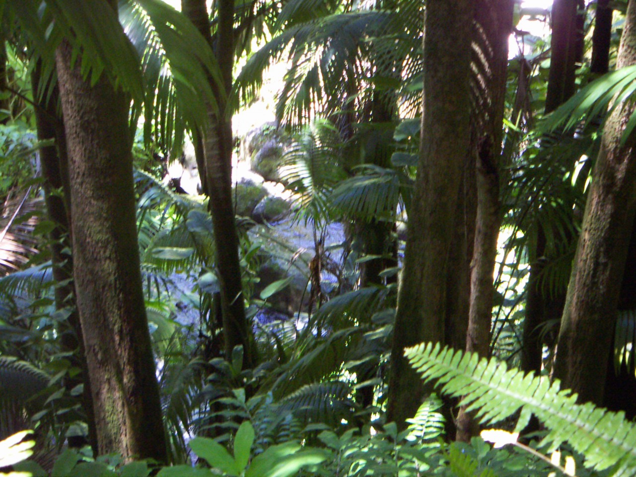 PICT0023.JPG